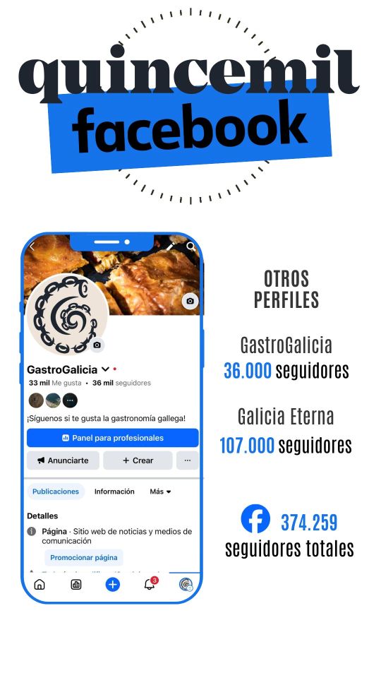 Seguidores en Facebook de Quincemil