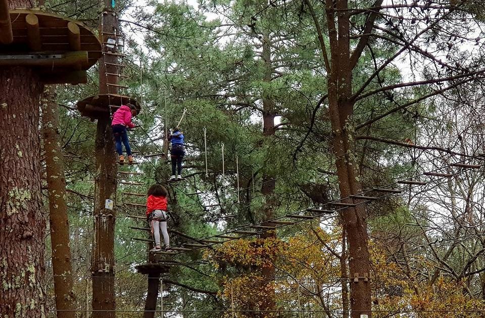 Atrévete con la tirolina!: Así son los parques de aventura en Galicia