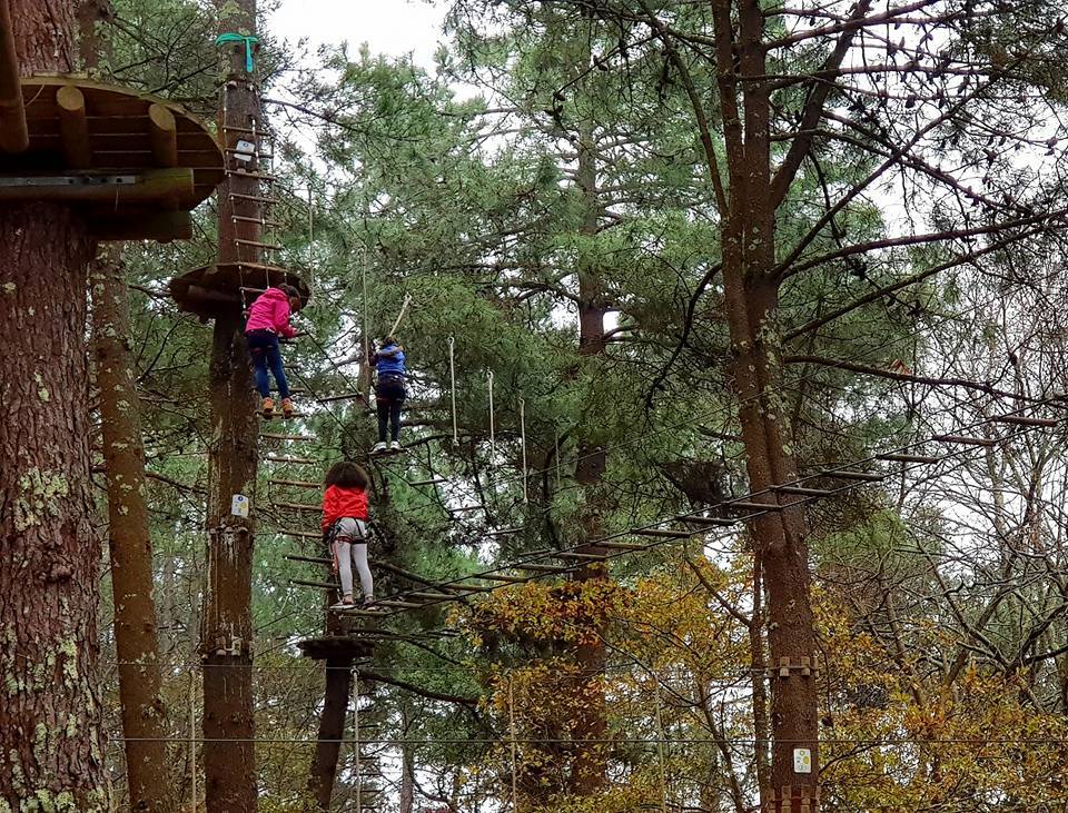 Atrévete con la tirolina!: Así son los parques de aventura en Galicia