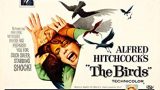 CINENTERRAZA: Cult Movies - Los pájaros de Alfred Hitchcock
