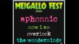 I Festival MEIGALLO FEST 2019 - Sada