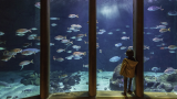 Visita al Aquarium Finisterrae - Casa de los peces de A Coruña