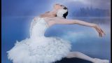 EL LAGO DE LOS CISNES - Russian Classical Ballet