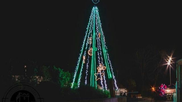 Árbol de Navidad en Santa Cruz 