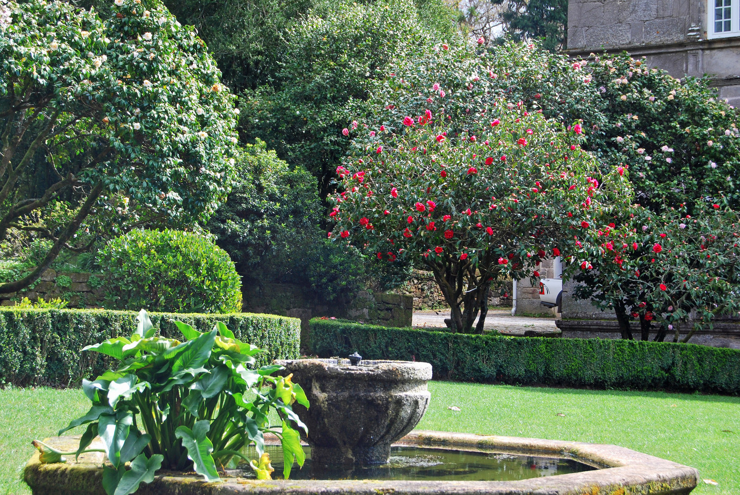 Ruta de las camelias por los