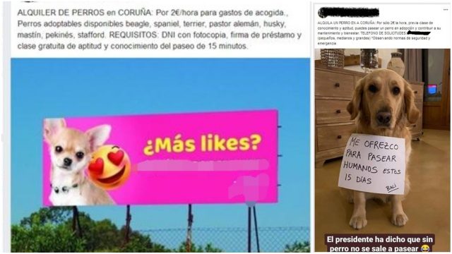 Anuncios que esta persona colgaba en sus redes sociales.