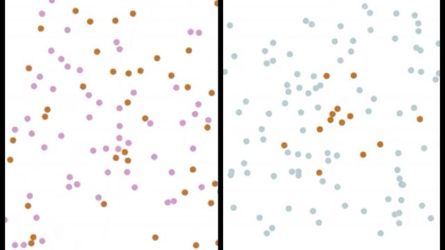 Capturas del la actividad sobre la propagación del coronavirus