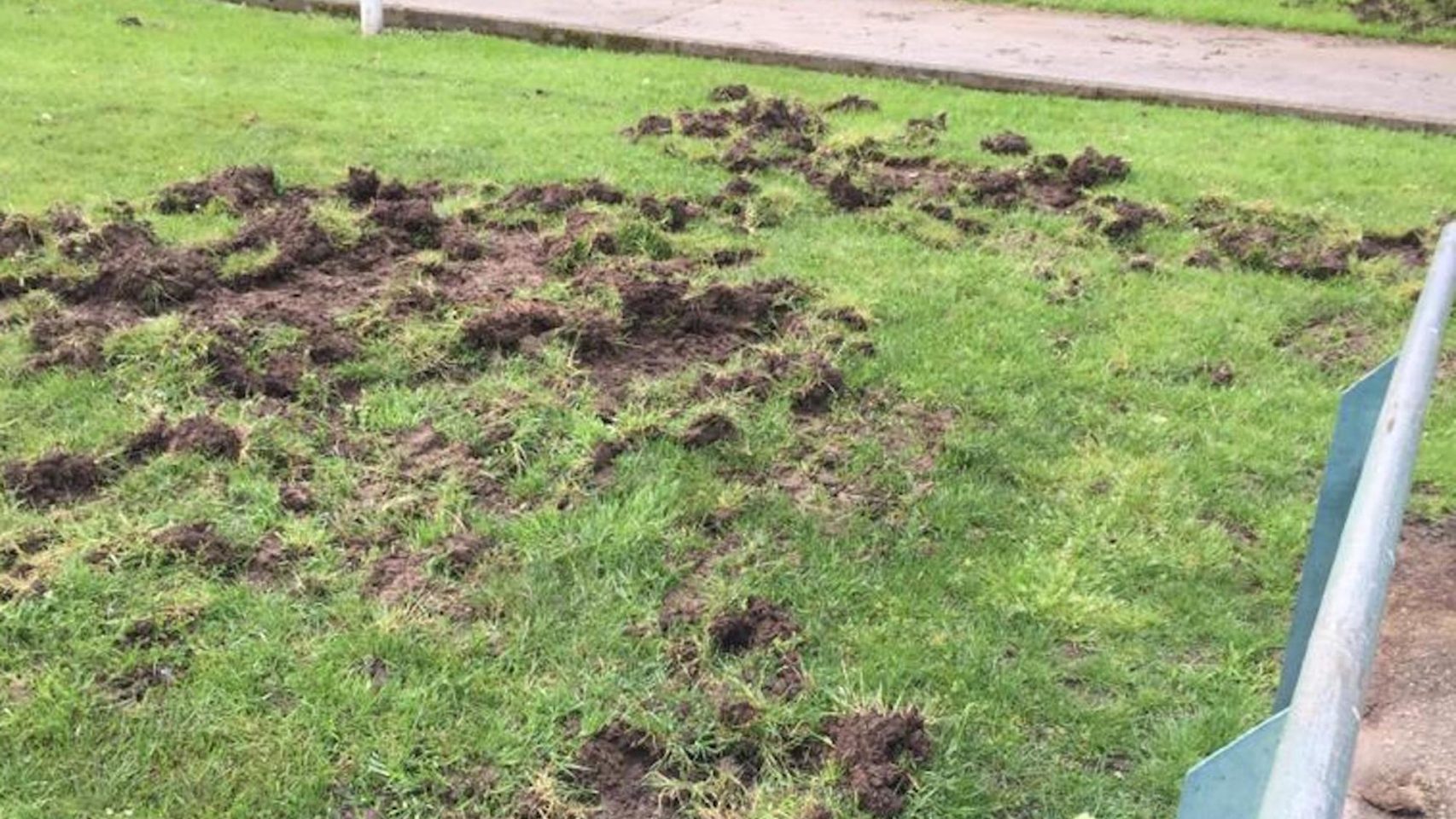 Los jabalíes provocaron daños en el parque de O Pasatempo