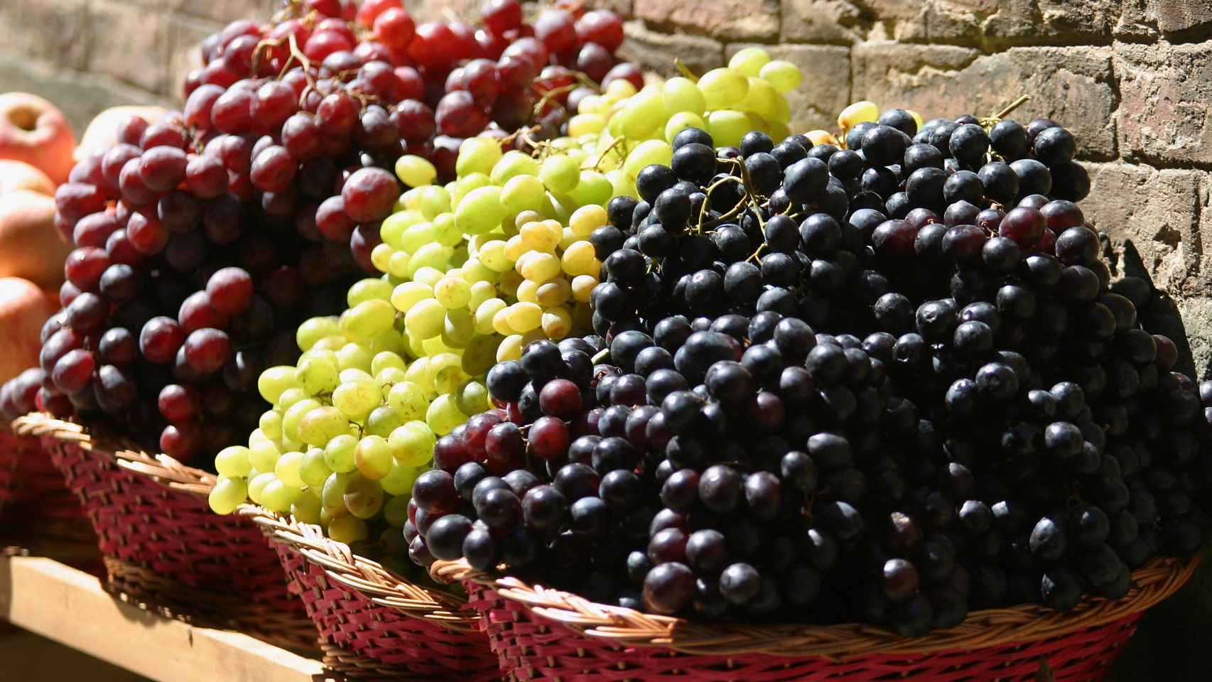 Diferentes variedades de uva