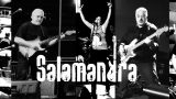 Salamandra - Programación Cultural Presco 2020