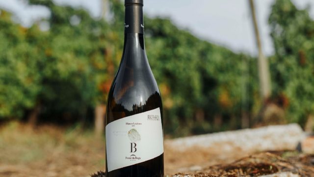 "B", el primer Blanco Lexítimo de la Ribeira Sacra.