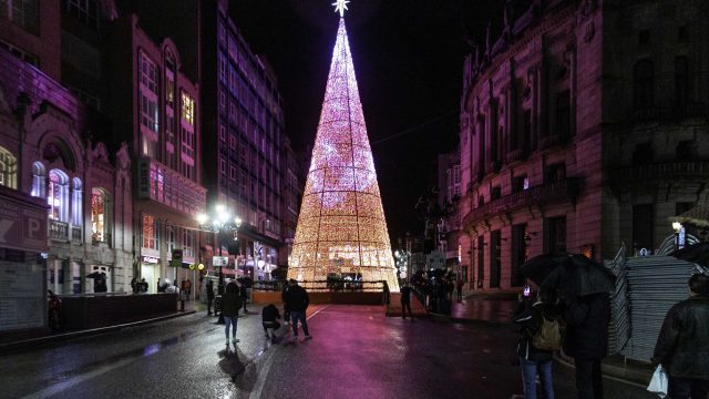 Árbol de Policarpo Sanz por @belenfernandezfoto
