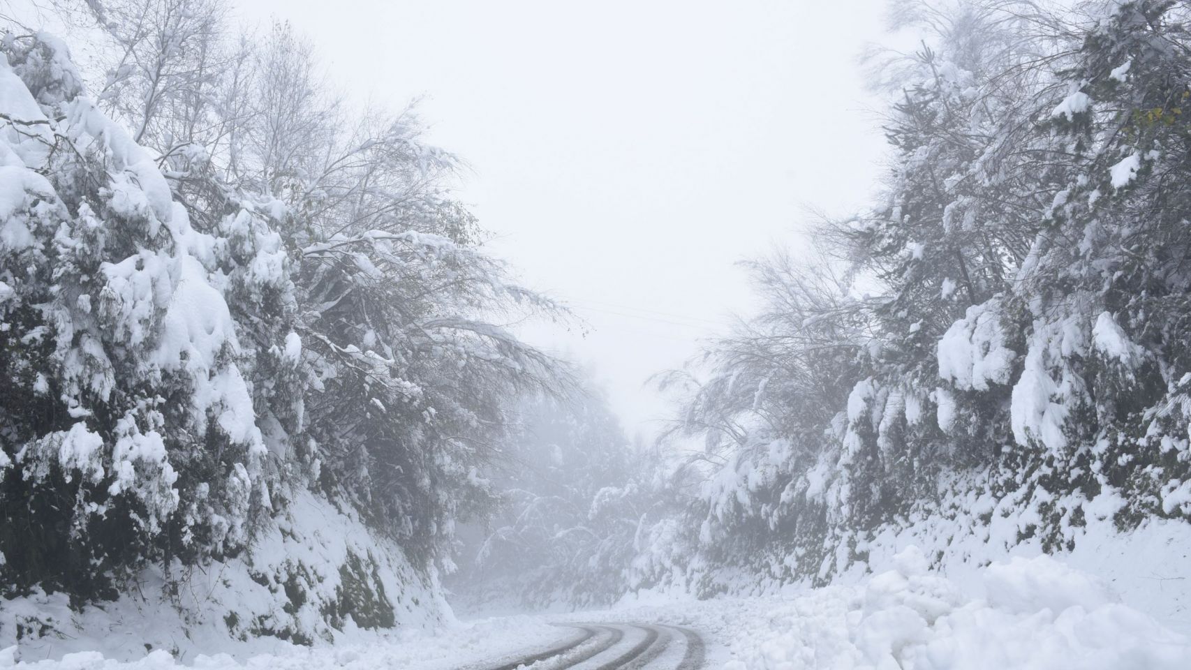 Una carretera de Galicia nevada.