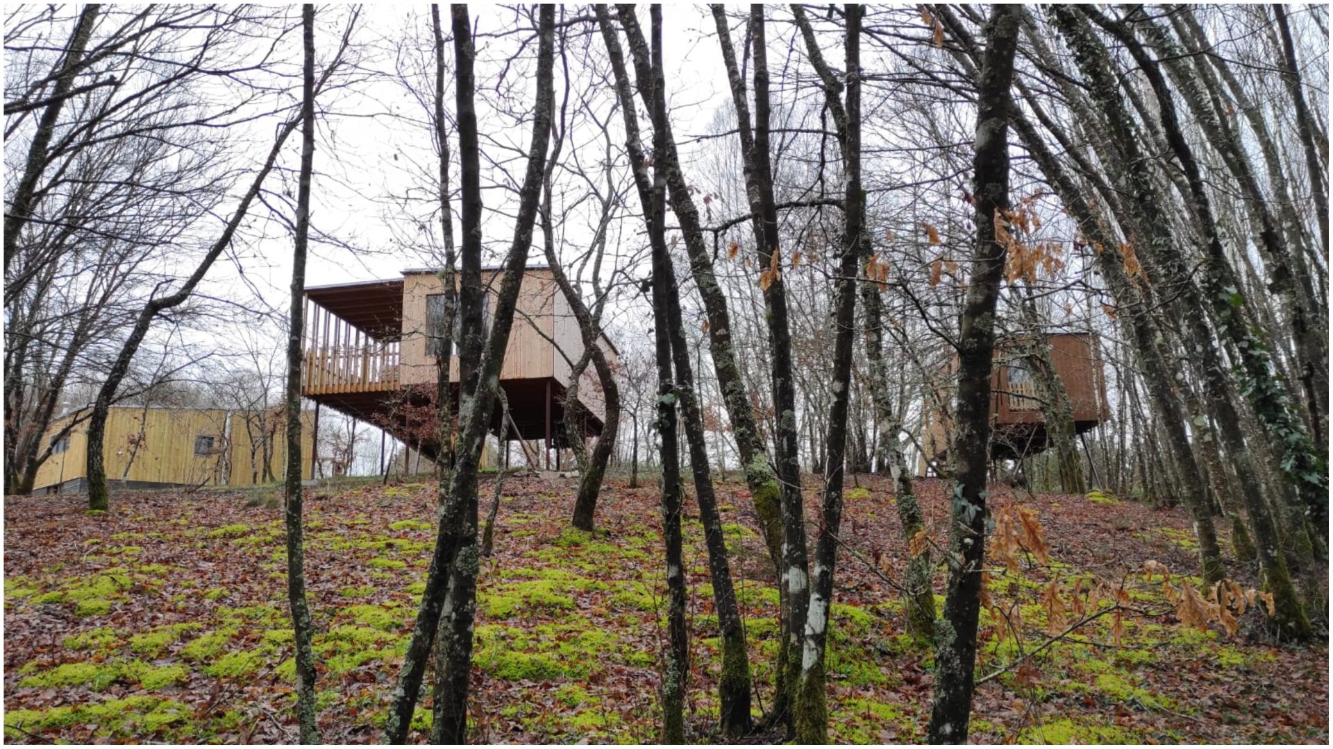 Cabanas das Chousas: Abre un glamping sostenible en pleno bosque a 10  kilómetros de Lugo
