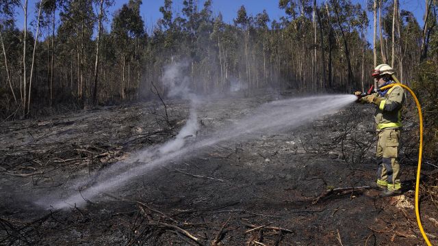Un bombero apaga un incendio forestal.