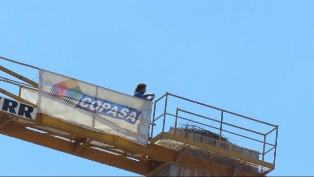 Nido de cigüeñas en Ourense.
Amigas das Cigoñas y Ecoloxistas en Acción solicitan a la Consellería de Medio Ambiente que proteja a una pareja de cigüeñas blancas que anidó en una grúa de la constructora Copasa en Ourense.
ESPAÑA EUROPA GALICIA SOCIEDAD
ECOLOXISTAS EN ACCIÓN