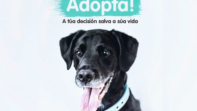 Campaña de adopción promovida por Libera