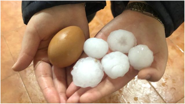 Tamaño de las pelotas de granizo de la jornada de ayer.