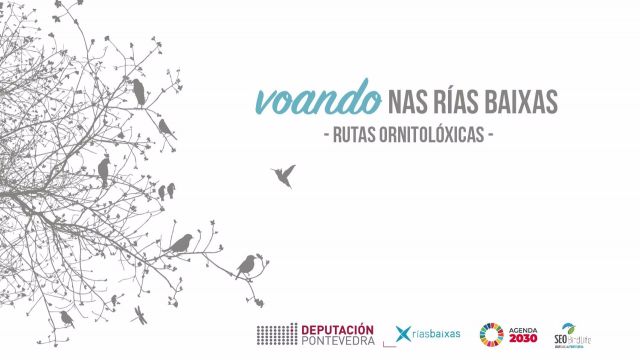 Cartel del programa 'Voando nas Ríax Baixas'