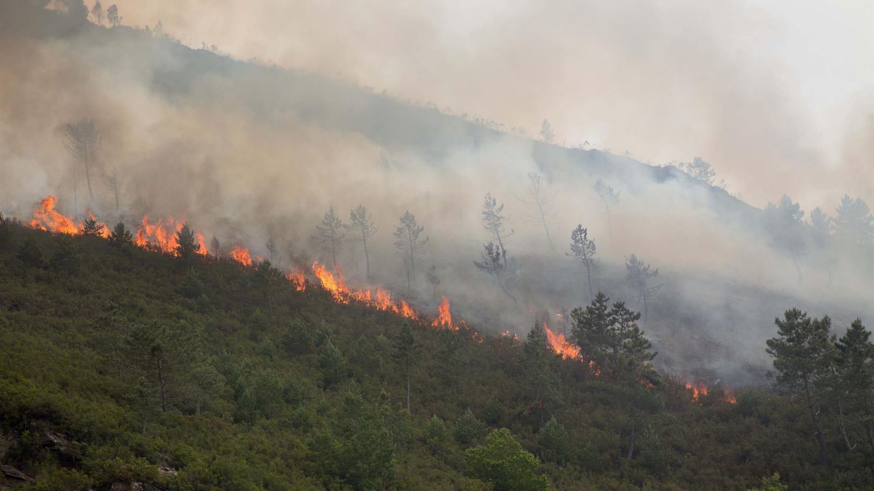Incendio en O Courel (Lugo). 