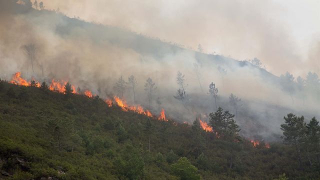 Incendio en O Courel (Lugo)