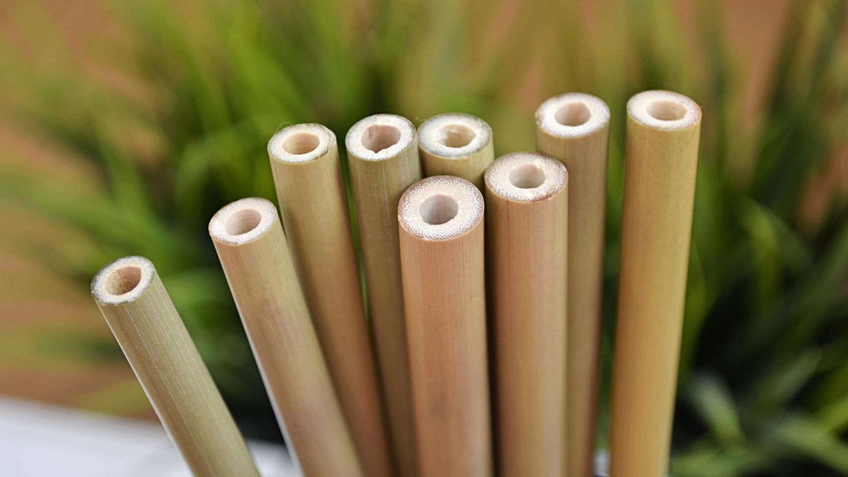 Pajitas de bambu de Packawin.