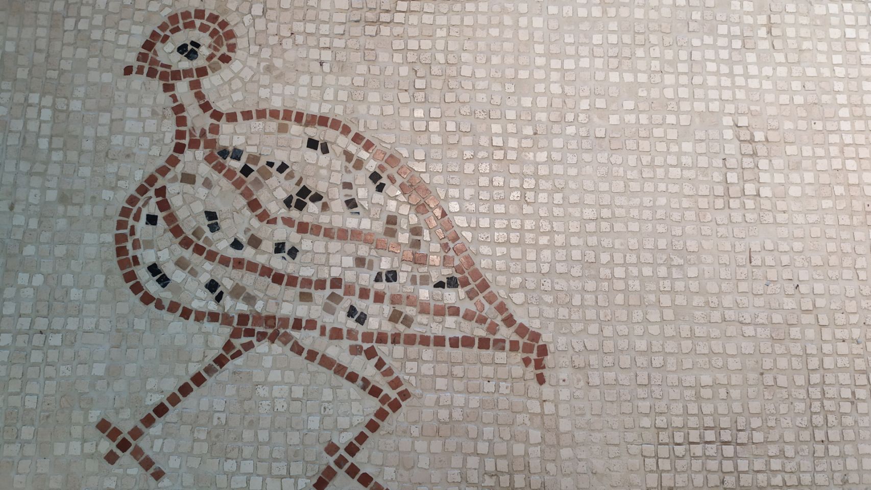 Imagen de un mosaico romano en la Isla de Toralla