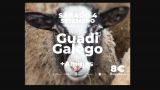 Guadi Galego y amigos | 39 Edición de Festiletras 2021 en Ponteceso