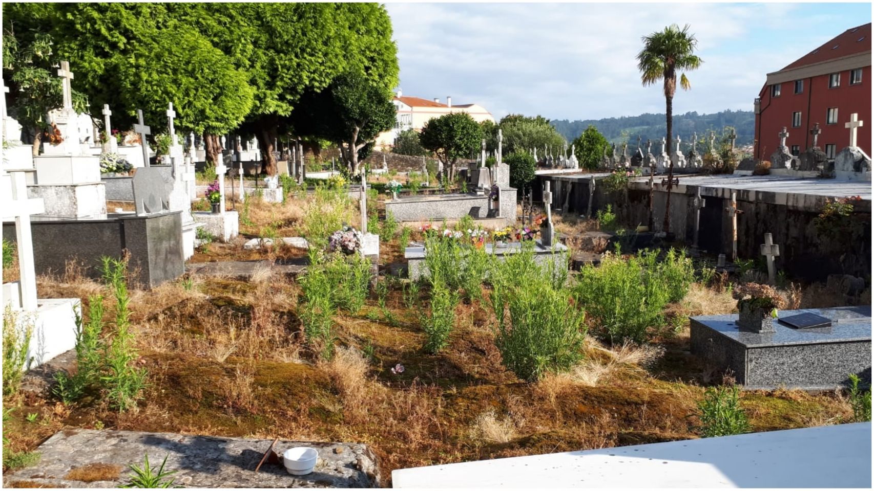 Aspecto del cementerio de titularidad municipal.