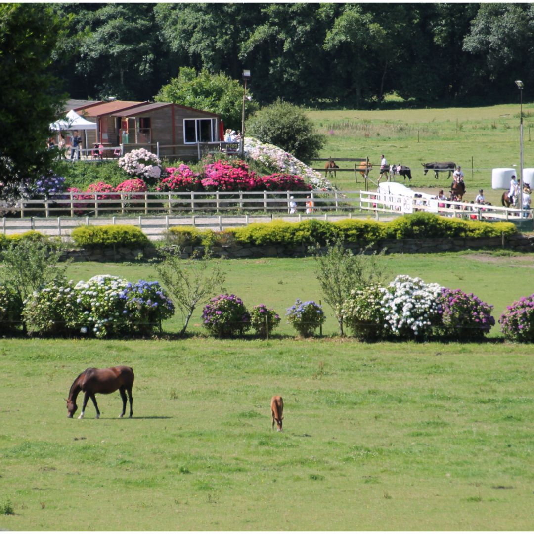 Granxa do Souto en Ortigueira (A Coruña): Granja, au pair de caballos y  turismo activo