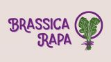 Concerto de Fanfarria Brassica Rapa en Vilar de Barrio