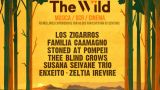 The Wild festival 2021 en el Parque Forestal San Miguel de Oia