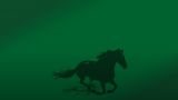 Equigal 2021 en Lugo. Salón  Internacional do Cabalo de Galicia