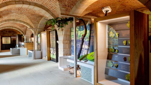 Museo de la Ciencia del Vino