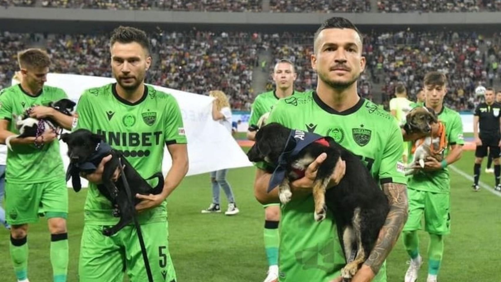 Jugadores de la liga Rumana de fútbol salieron al campo con perros para fomentar su adopción (Facebook Save the dogs and other animals)