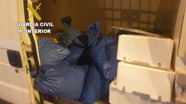Decomiso de 225 kilos de cigala fresca en A Coruña.