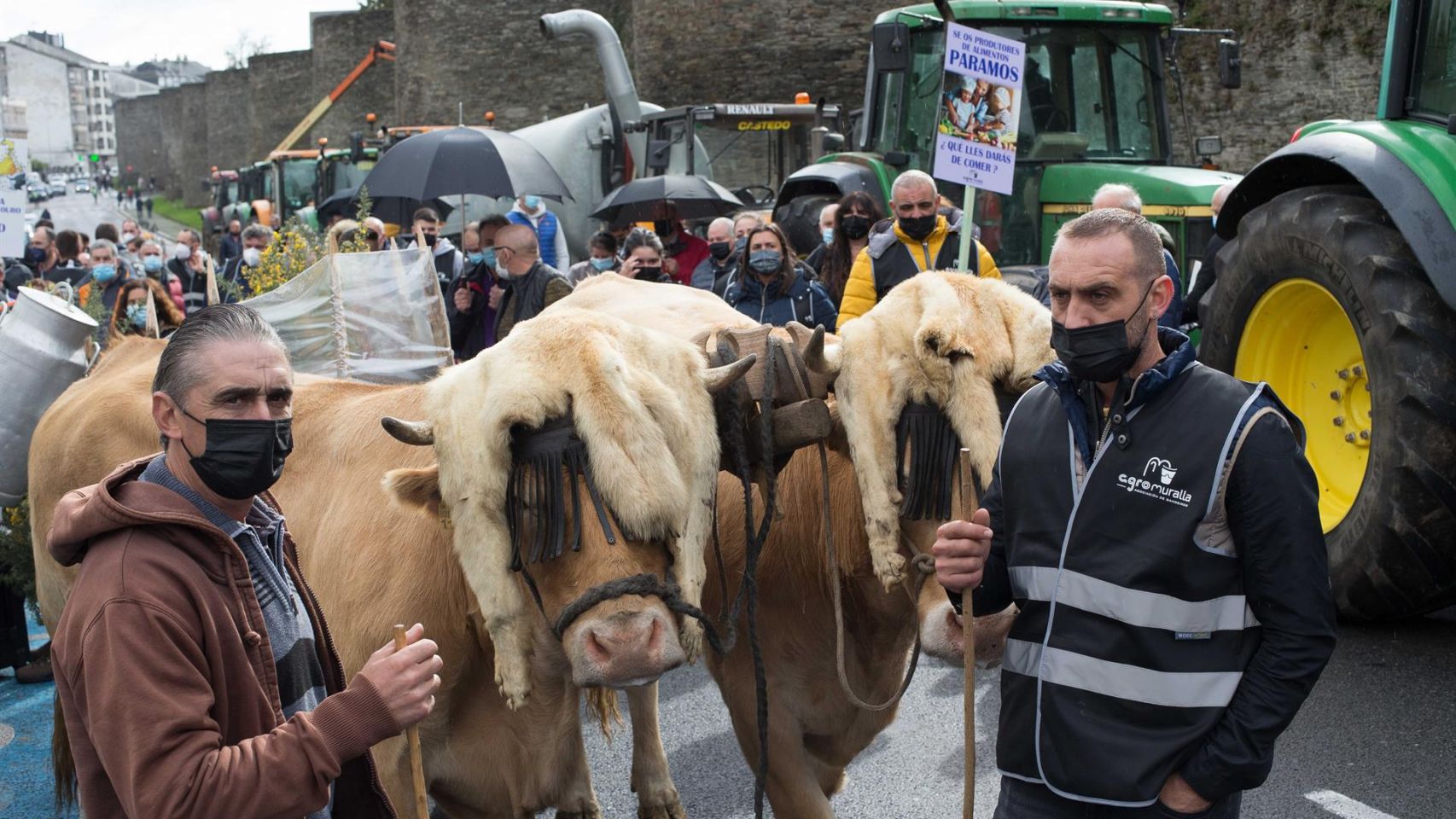 Dos ganaderos con sus vacas, hoy, durante una tractorada convocada por Agromuralla en Lugo en una foto de archivo.