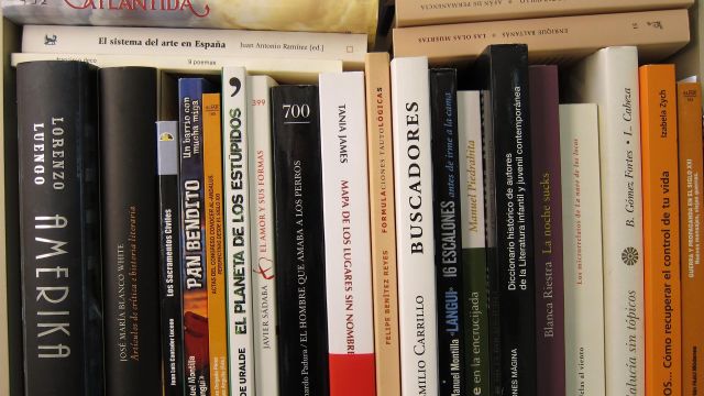 Imagen de archivo de libros en una estantería.