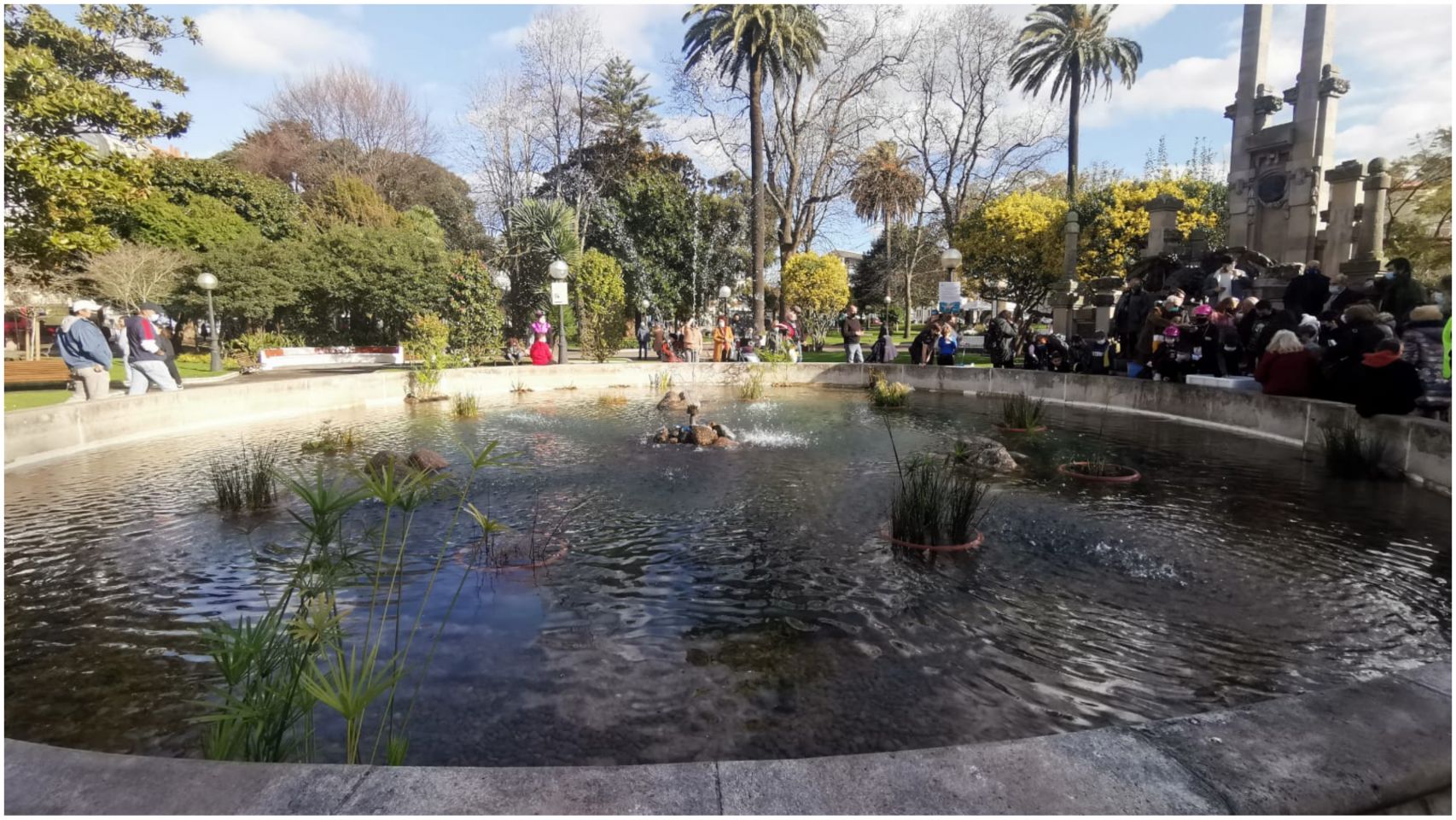 El estanque de los jardines de Méndez Núñez esta mañana.