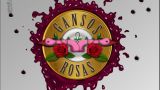 Concierto de Gansos Rosas en Vigo