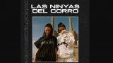 Concierto de Las Ninyas del Corro en Santiago