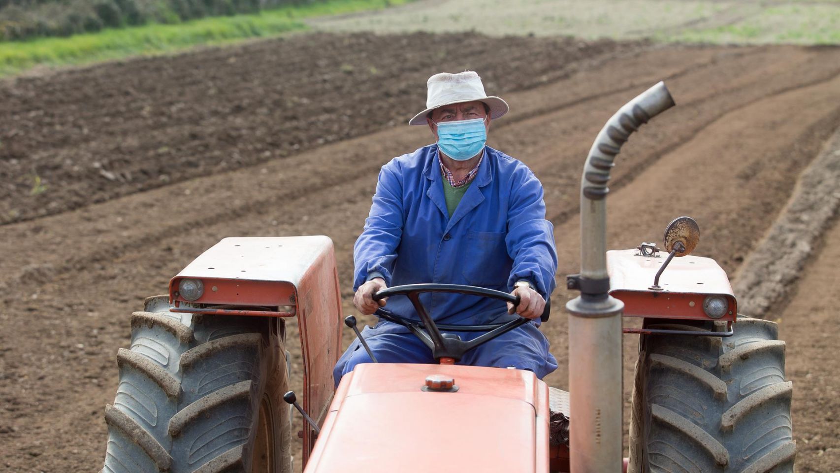 Manuel Rodríguez ara sus fincas con el tractor y mascarilla para plantar patatas en Lugo.