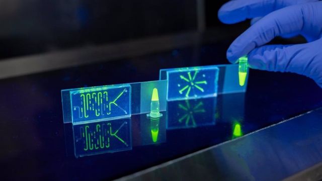 Imagen de un chip en fluorescencia.