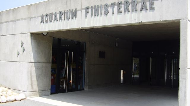 Aquarium Finisterrae de A Coruña.