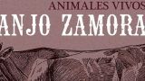 Concierto de Juanjo Zamorano Y Chocolatinas en Vigo