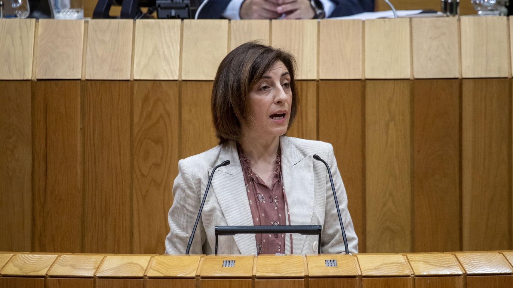 La conselleira de Medio Ambiente, Ángeles Vázquez, en el pleno del Parlamento.