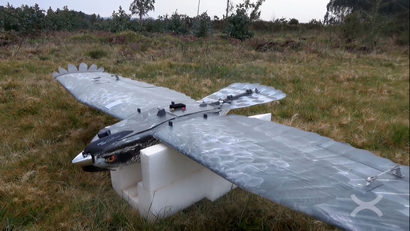 Uno de los drones con aspecto de ave diseñado por Aeromedia 