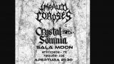 Concierto de Impaled Corpses y Crystal Somnia en Santiago