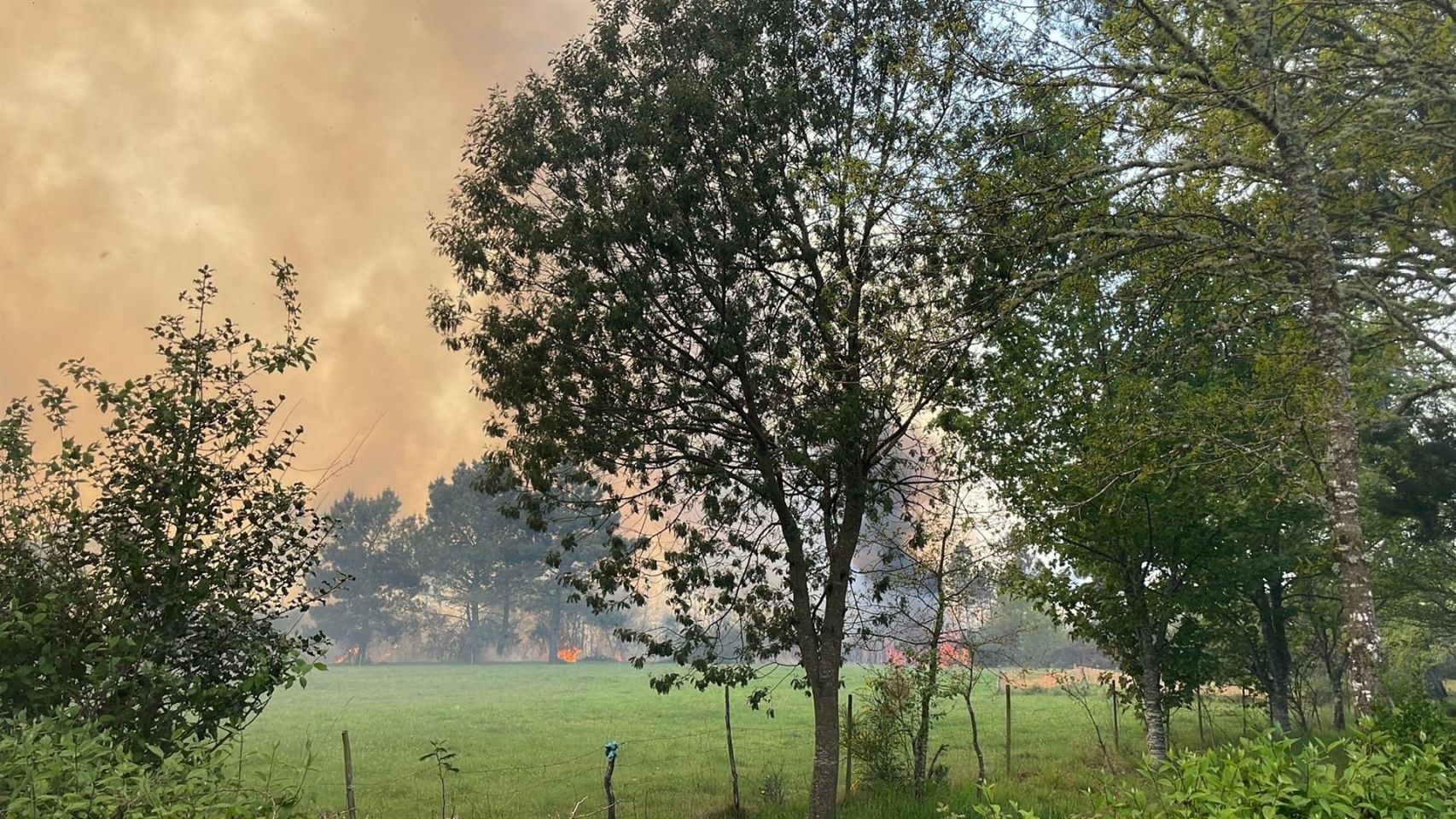 Incendio en la parroquia de Gaibor del municipio de Begonte (Lugo).