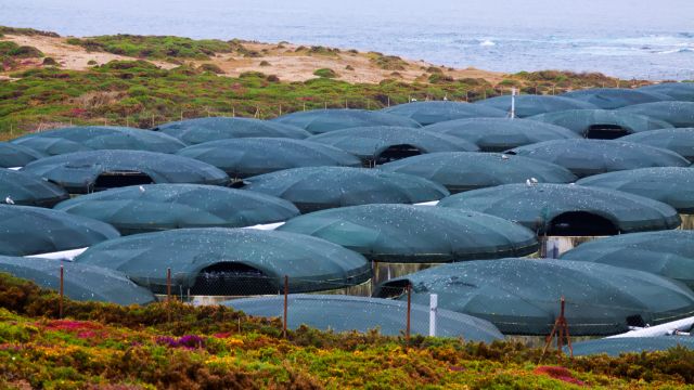 Granja de acuicultura en la costa gallega.